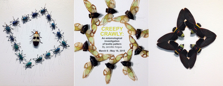 Creepy Crawly exhibit & artist talk