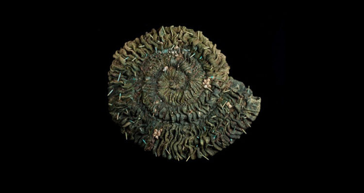 And Let Sounds Contribute Toward Me: texture and sound inspired by Walt Whitman poems