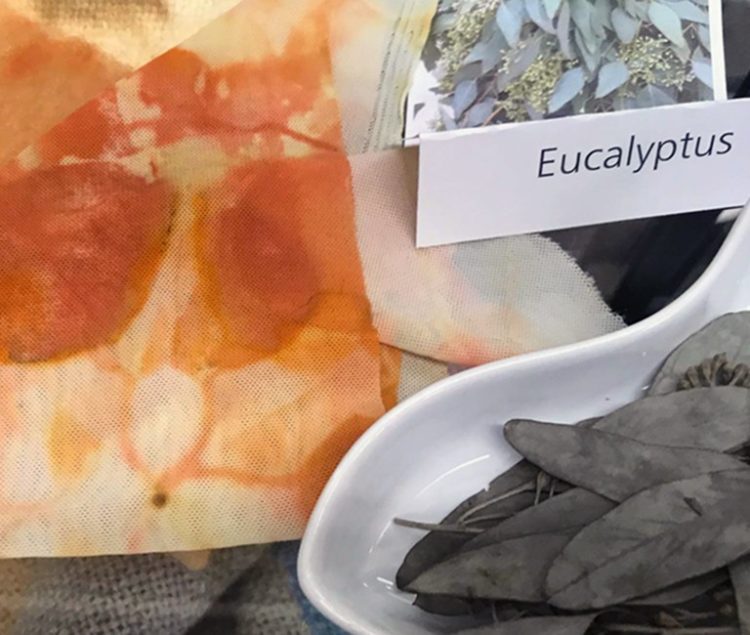 Library Exhibit: Edible Dyestuffs