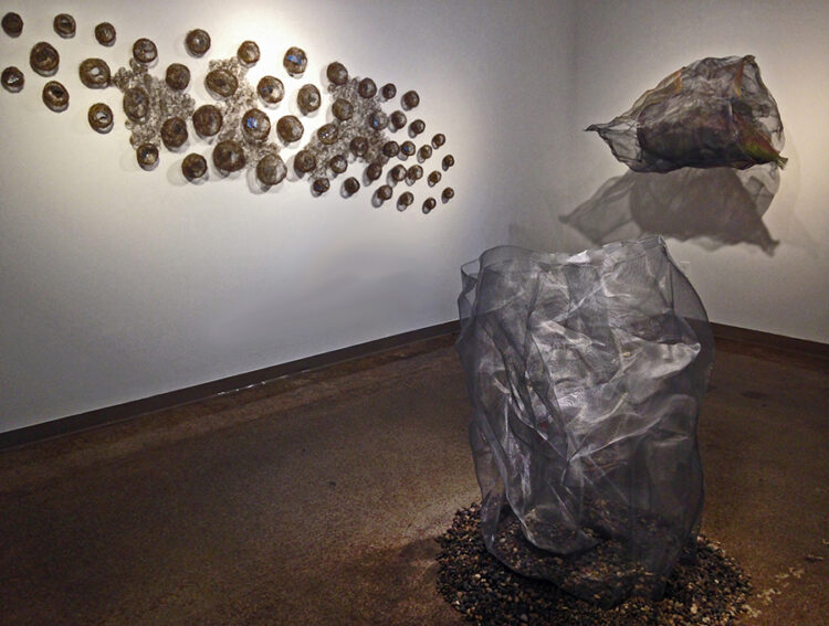 Insula: Kristi Swee Kuder