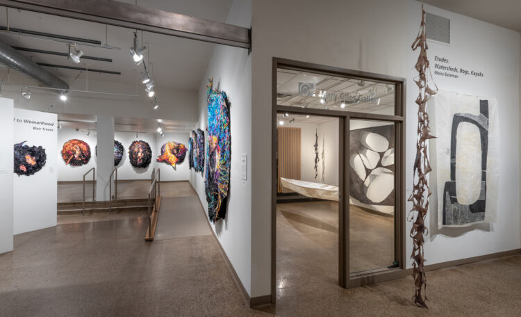 2022 McKnight Fiber Artist Fellowship Exhibition - Virtual Exhibition
