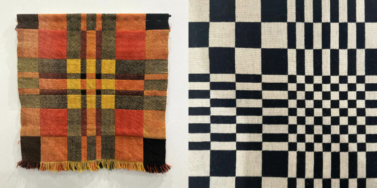 Janet Meany: A Retrospective, Community and Library Galleries