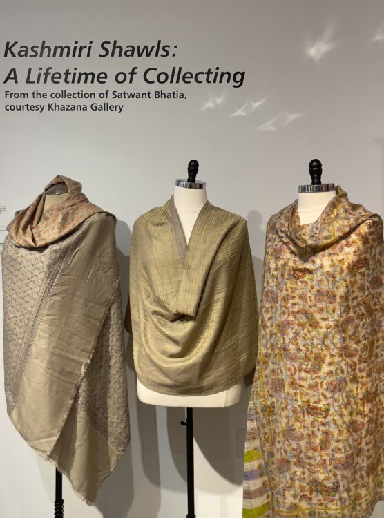 Kashmiri shawls 1