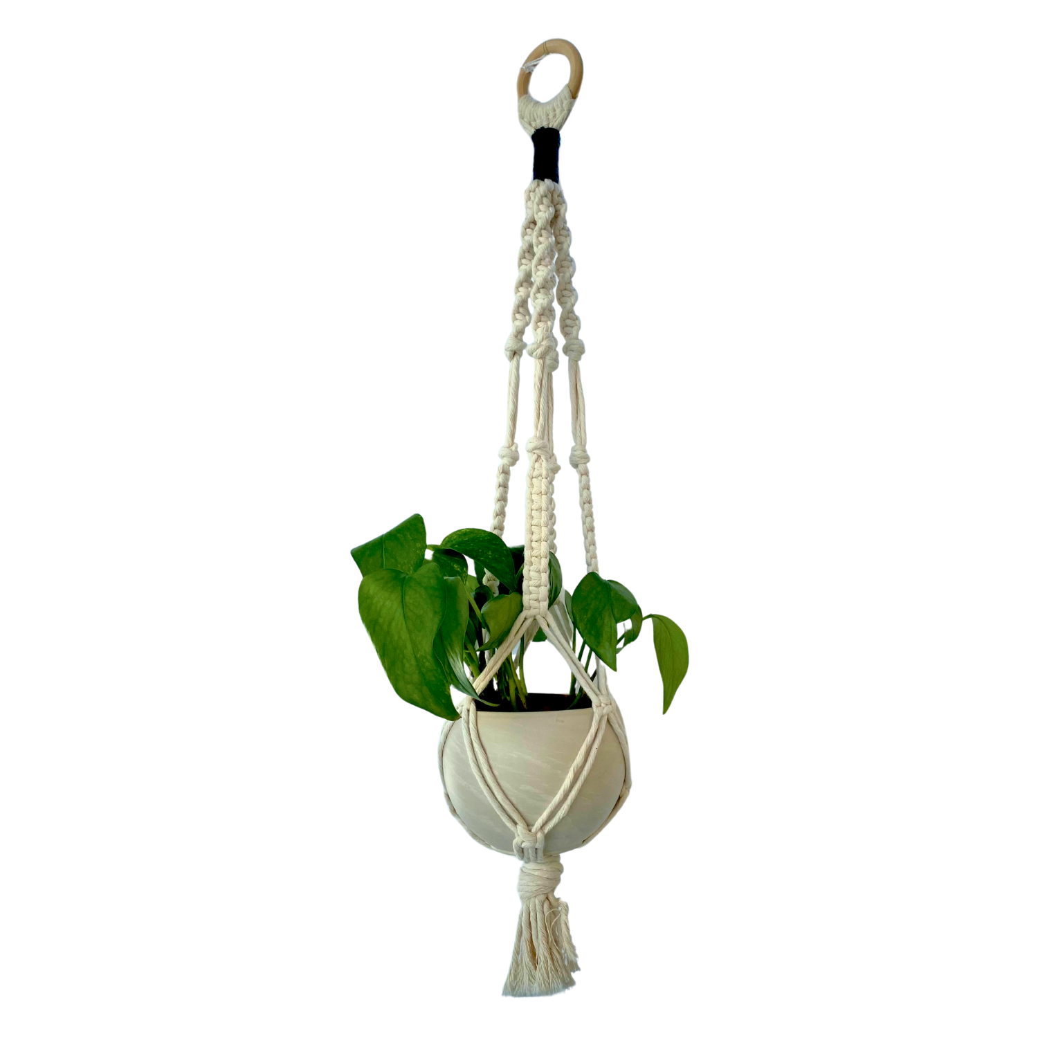 Haley Harnagel Macrame Plant Hanger
