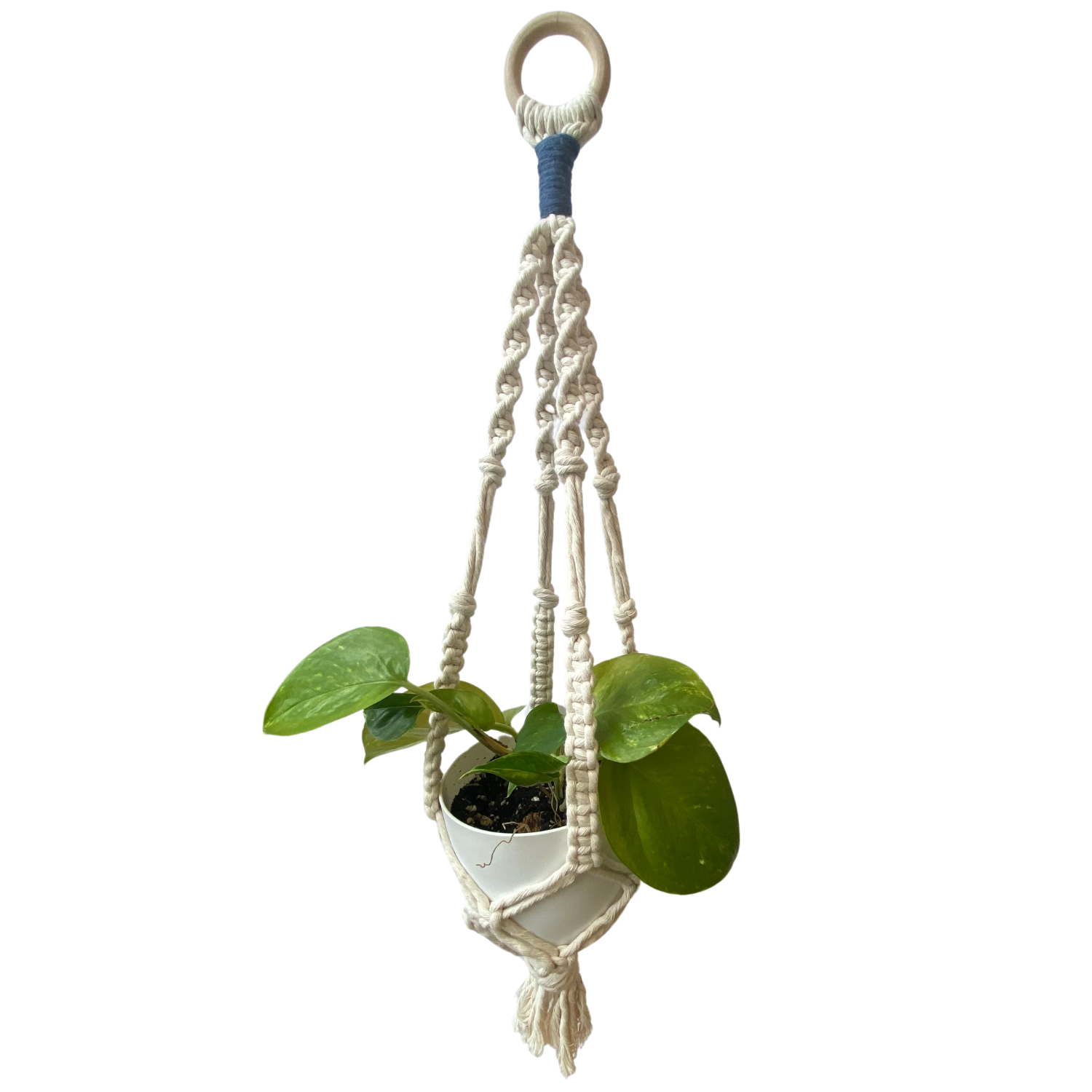 Haley Harnagel Macrame Plant Hanger - Image 2