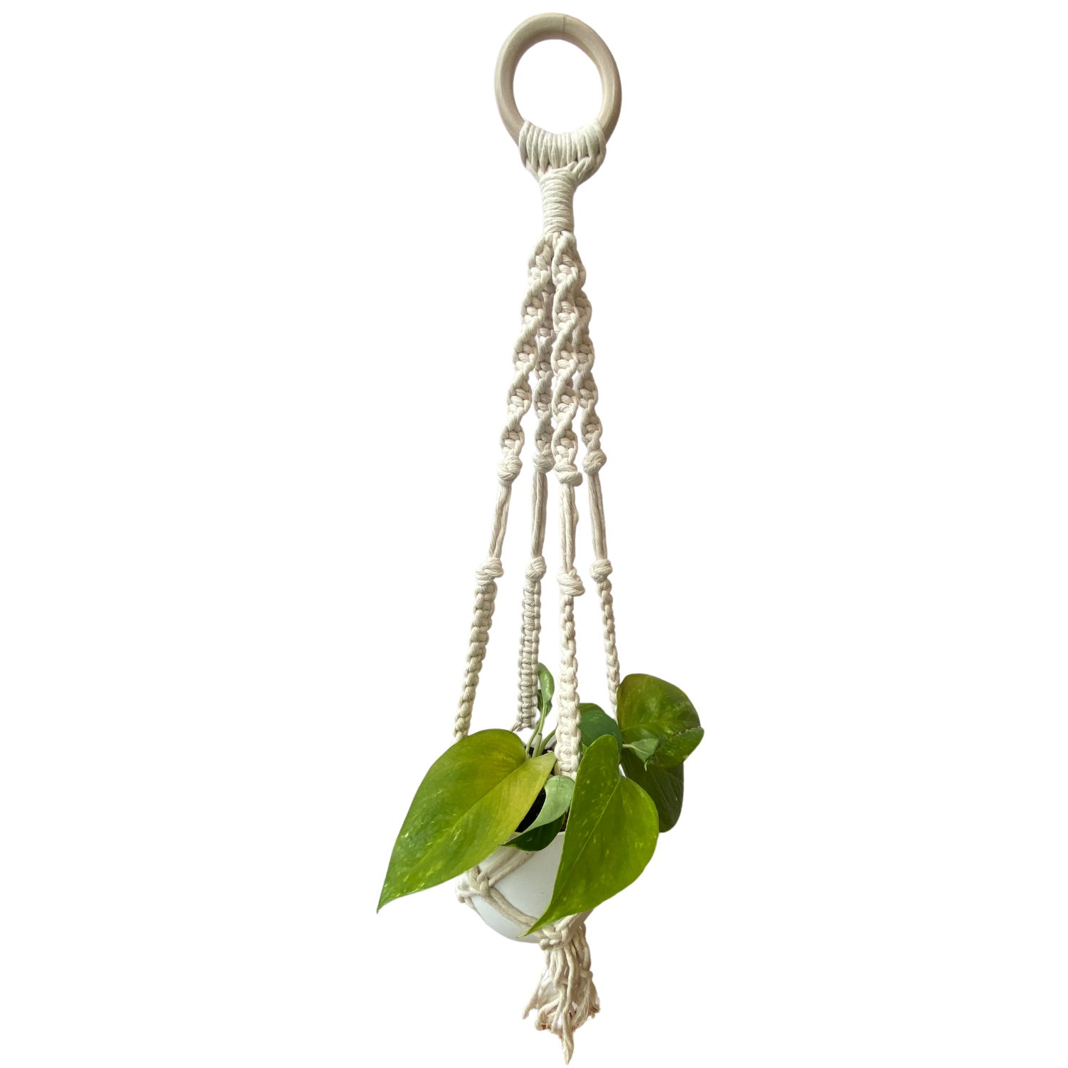 Haley Harnagel Macrame Plant Hanger - Image 3
