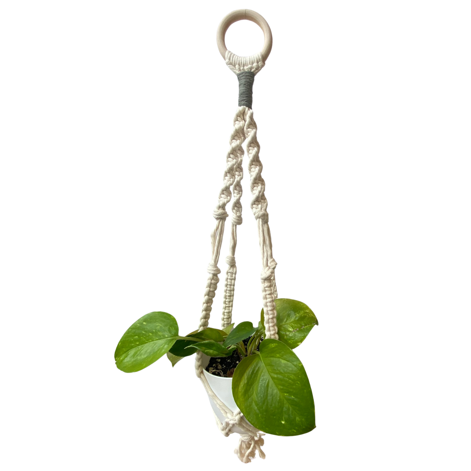 Haley Harnagel Macrame Plant Hanger - Image 4