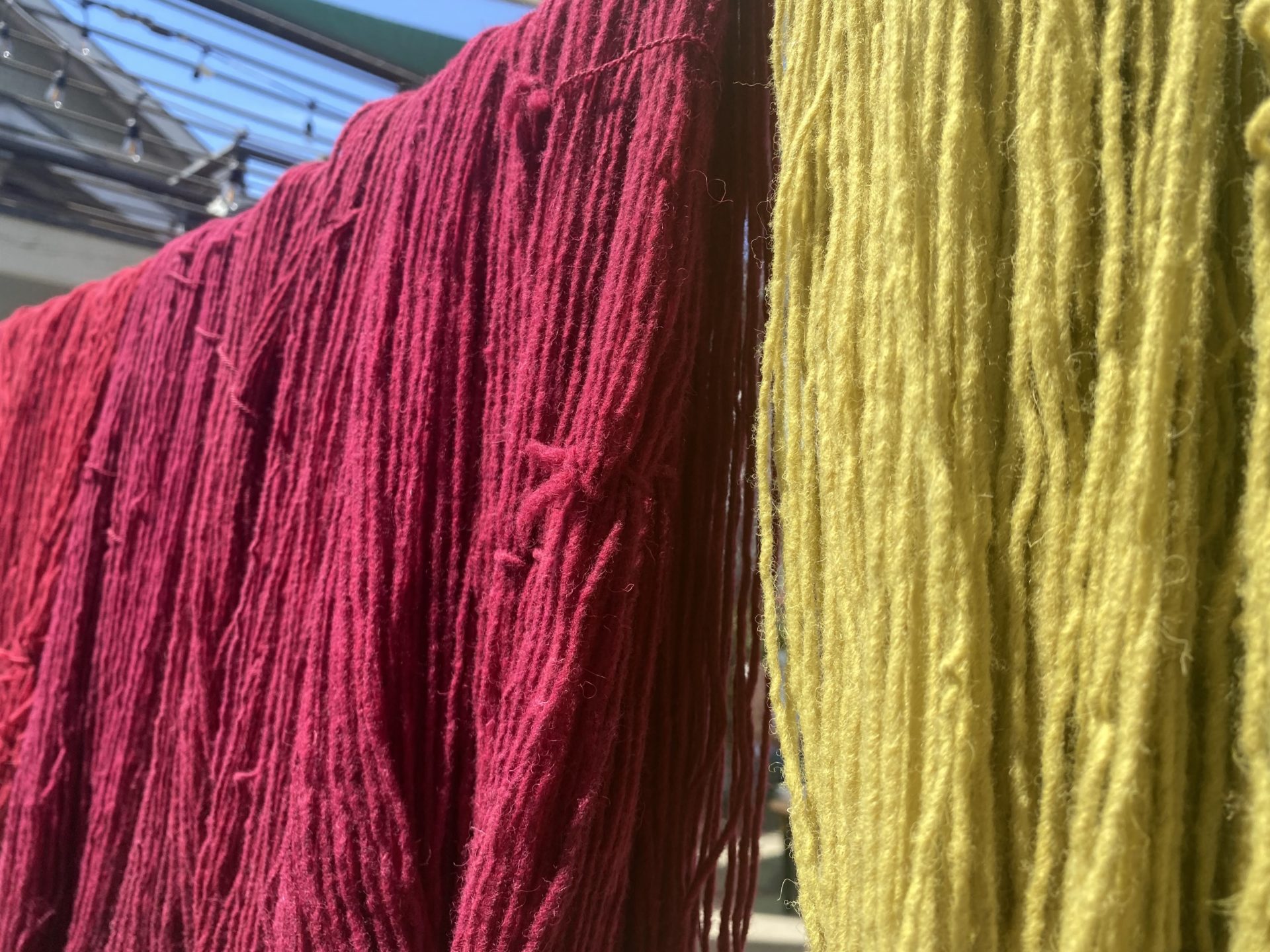 Natural Dye - Cochineal Whole - Image 2
