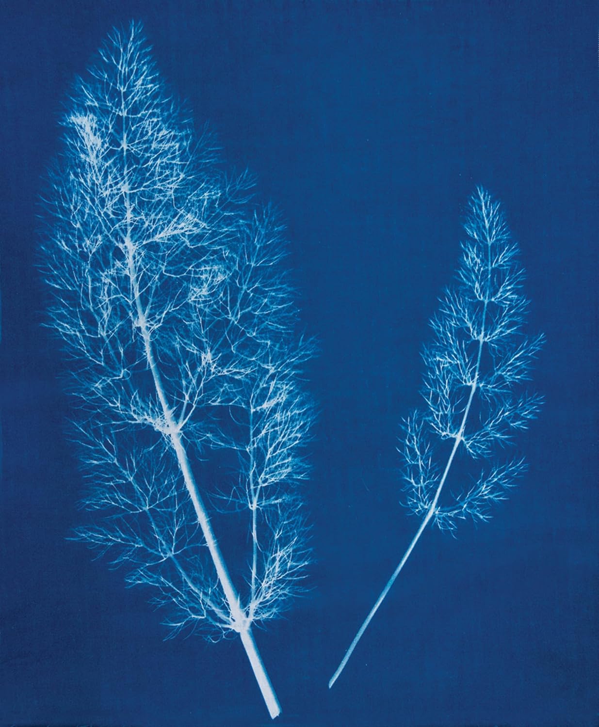 Jacquard Cyanotype Chemistry Set - Image 3