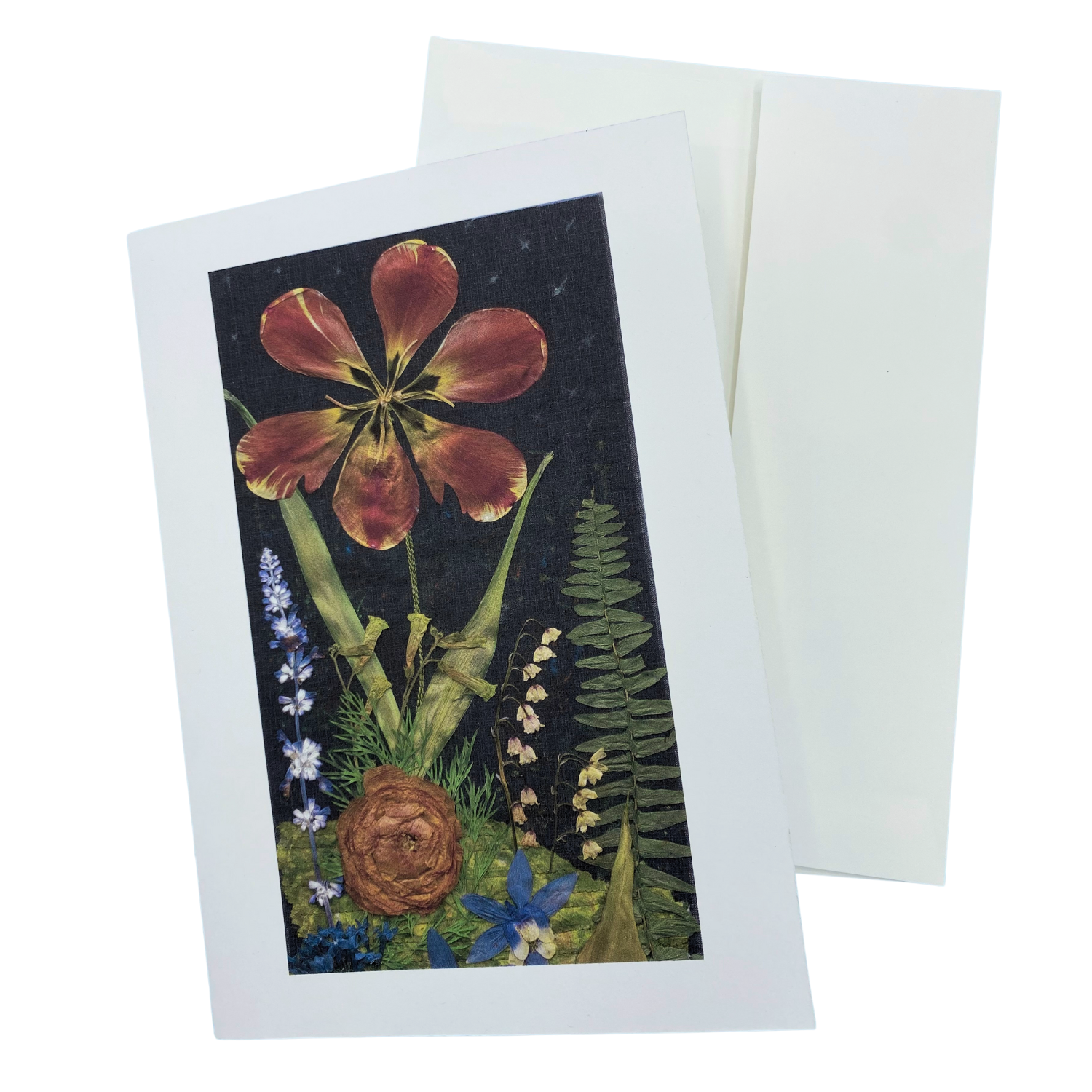 Cynthia Huff Greeting Cards
