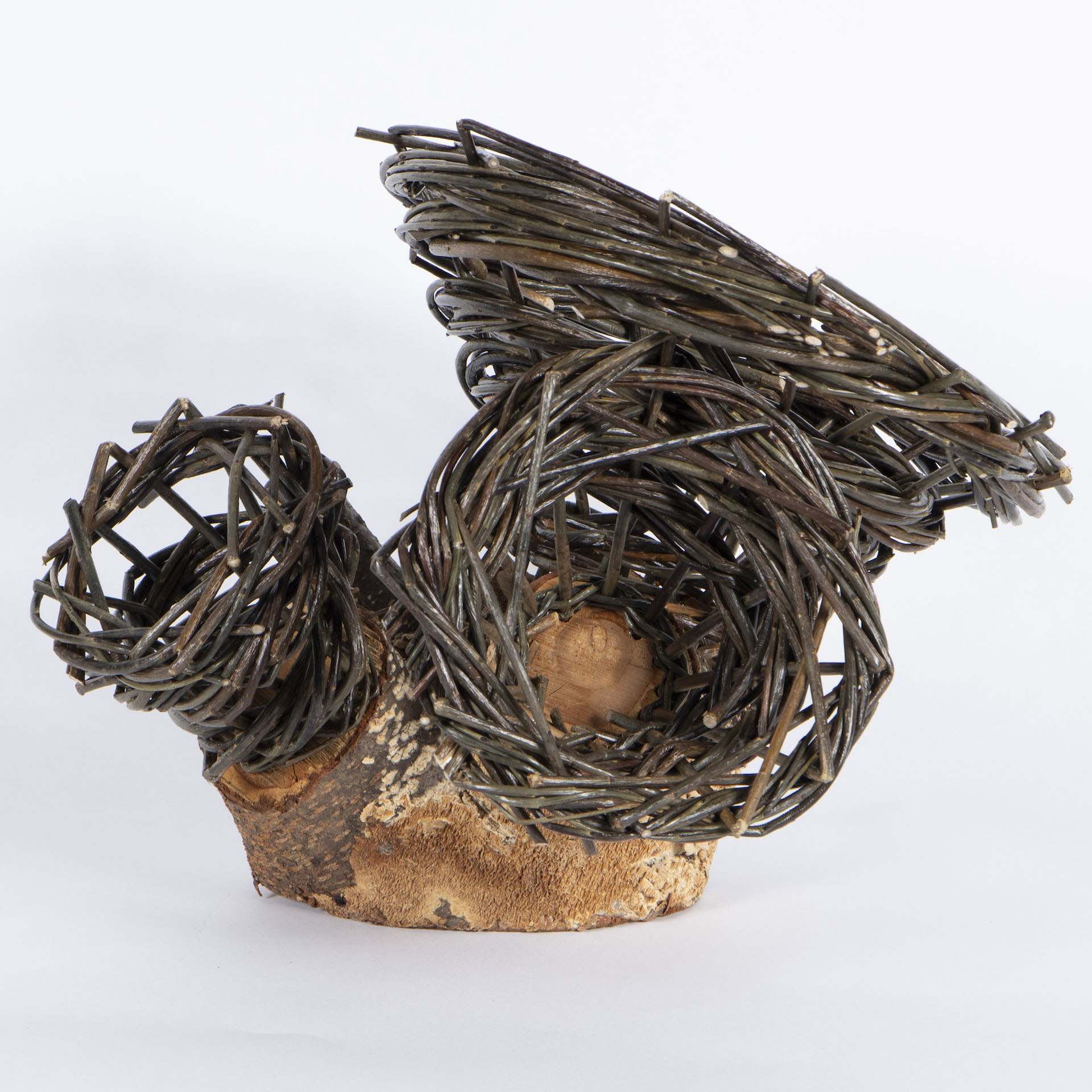 Bird, Martha- Tattooed