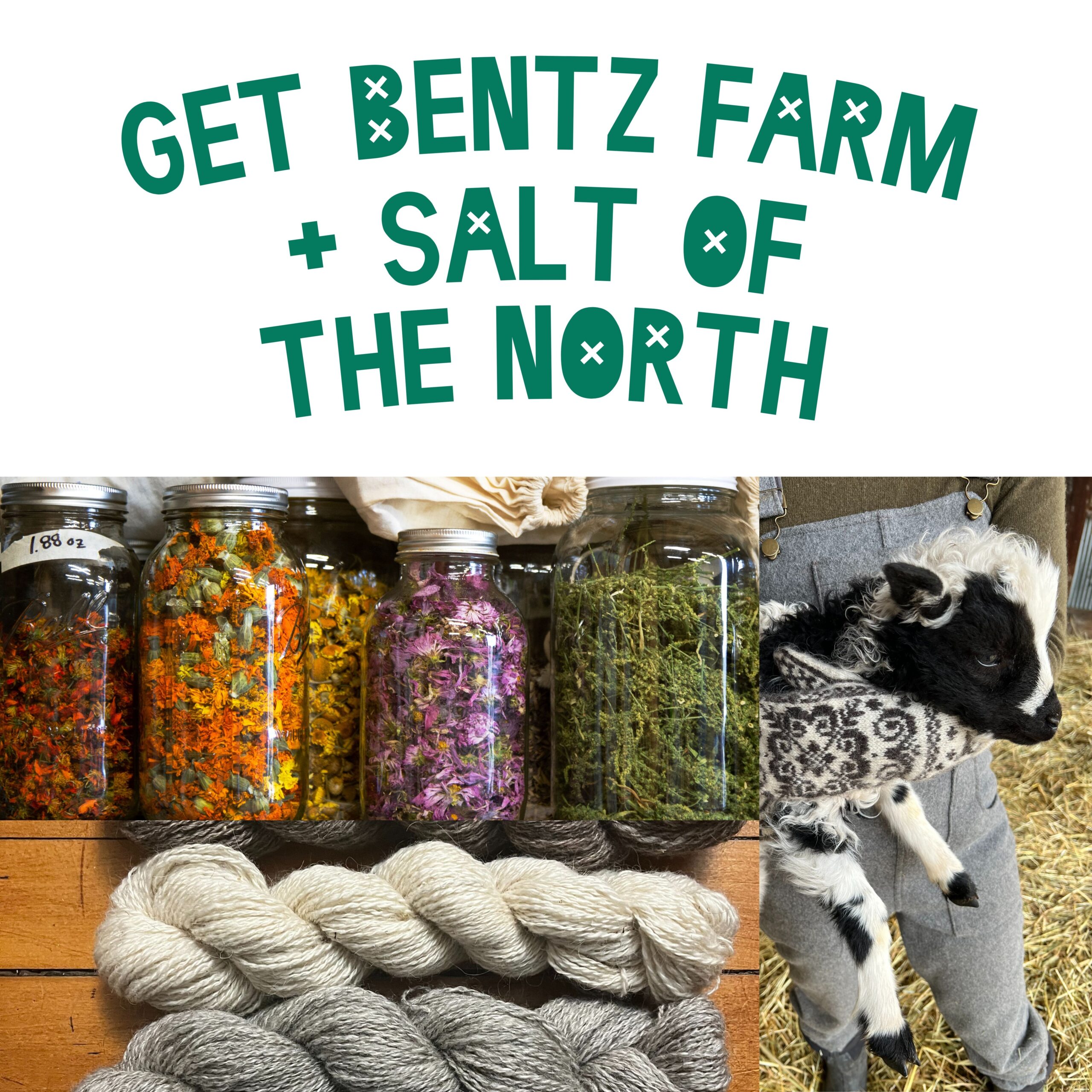 Get Bentz Farm + Salt of the North