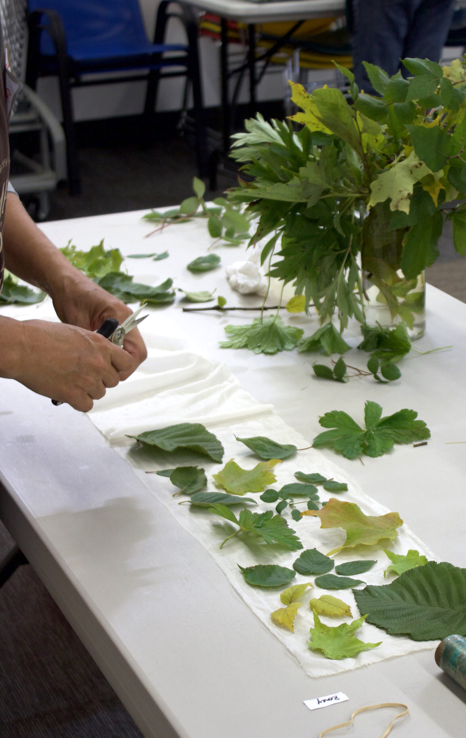 Foundations of Botanical Printing - Image 2