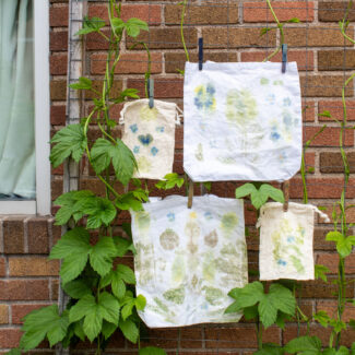 Craft Night: Dye Garden Harvest Craft Night: Dye Garden Harvest
