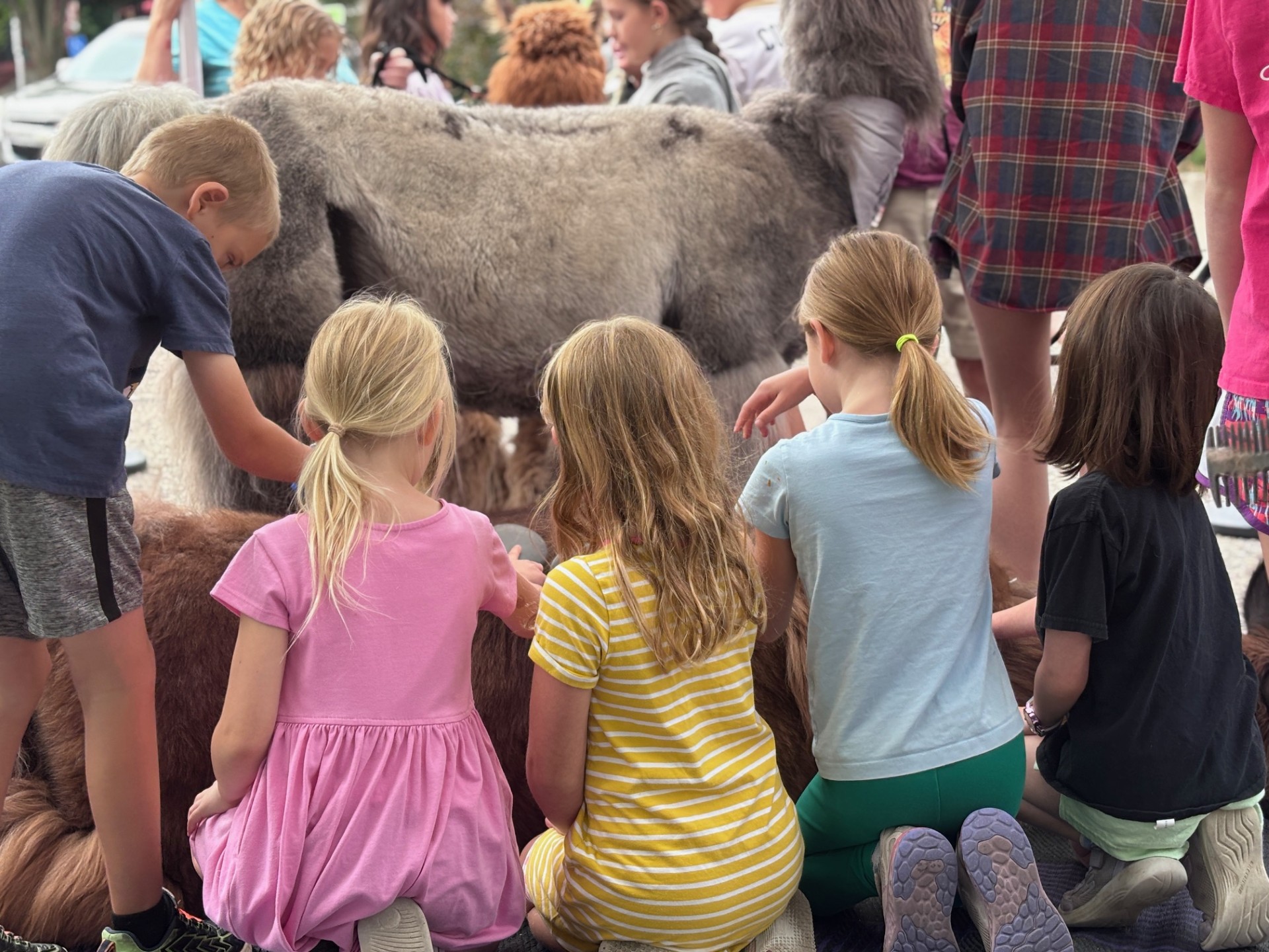 Farm to Fabric Summer Camp - Image 2