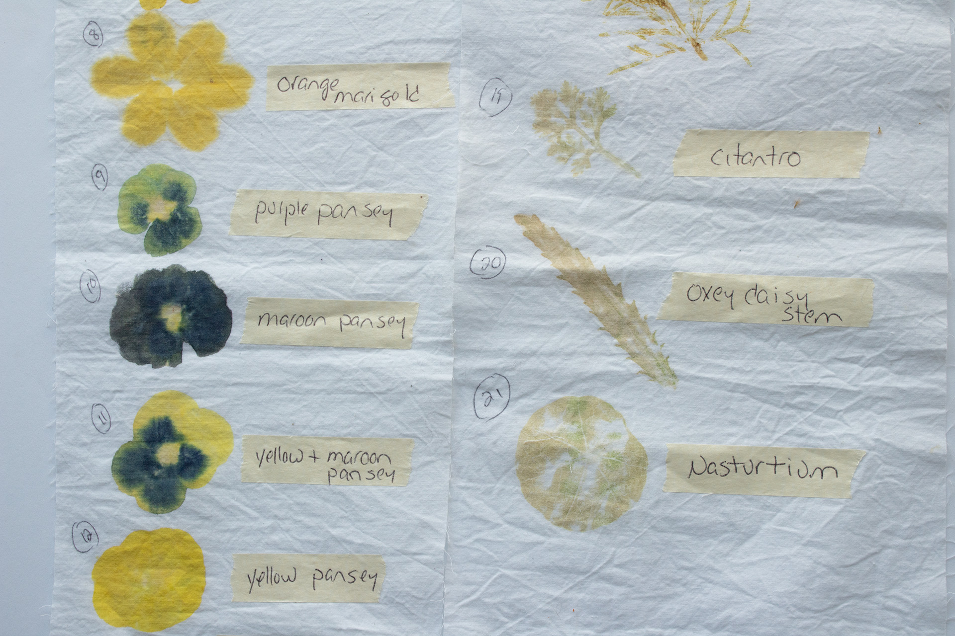 Printing with Flowers - Image 5