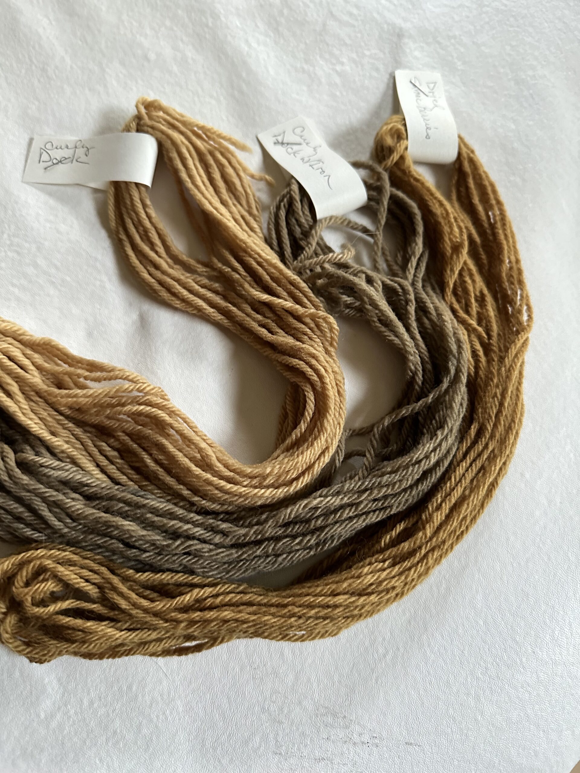 Dyeing with Invasive Plants - Image 2