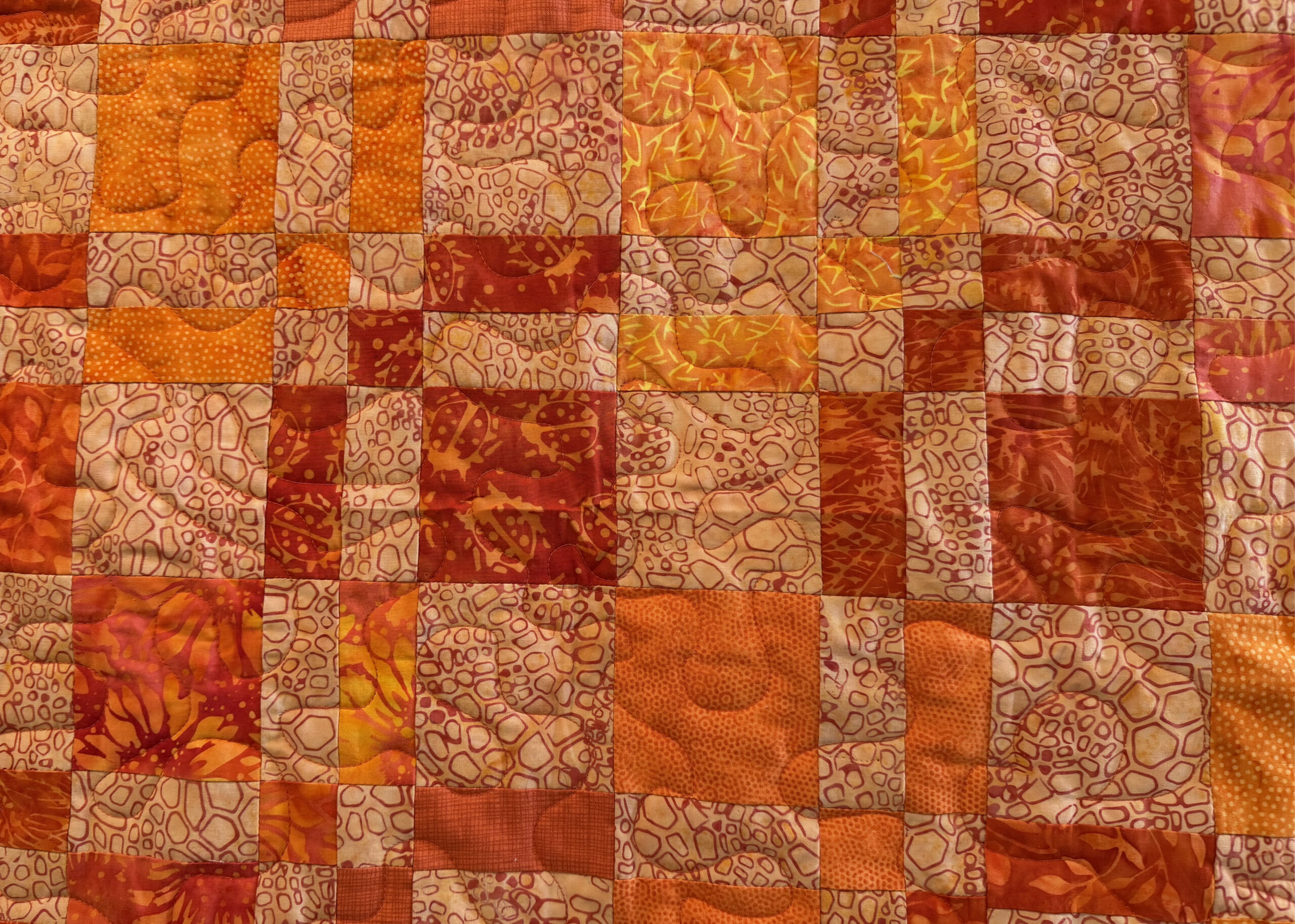 MN-quilters-20264
