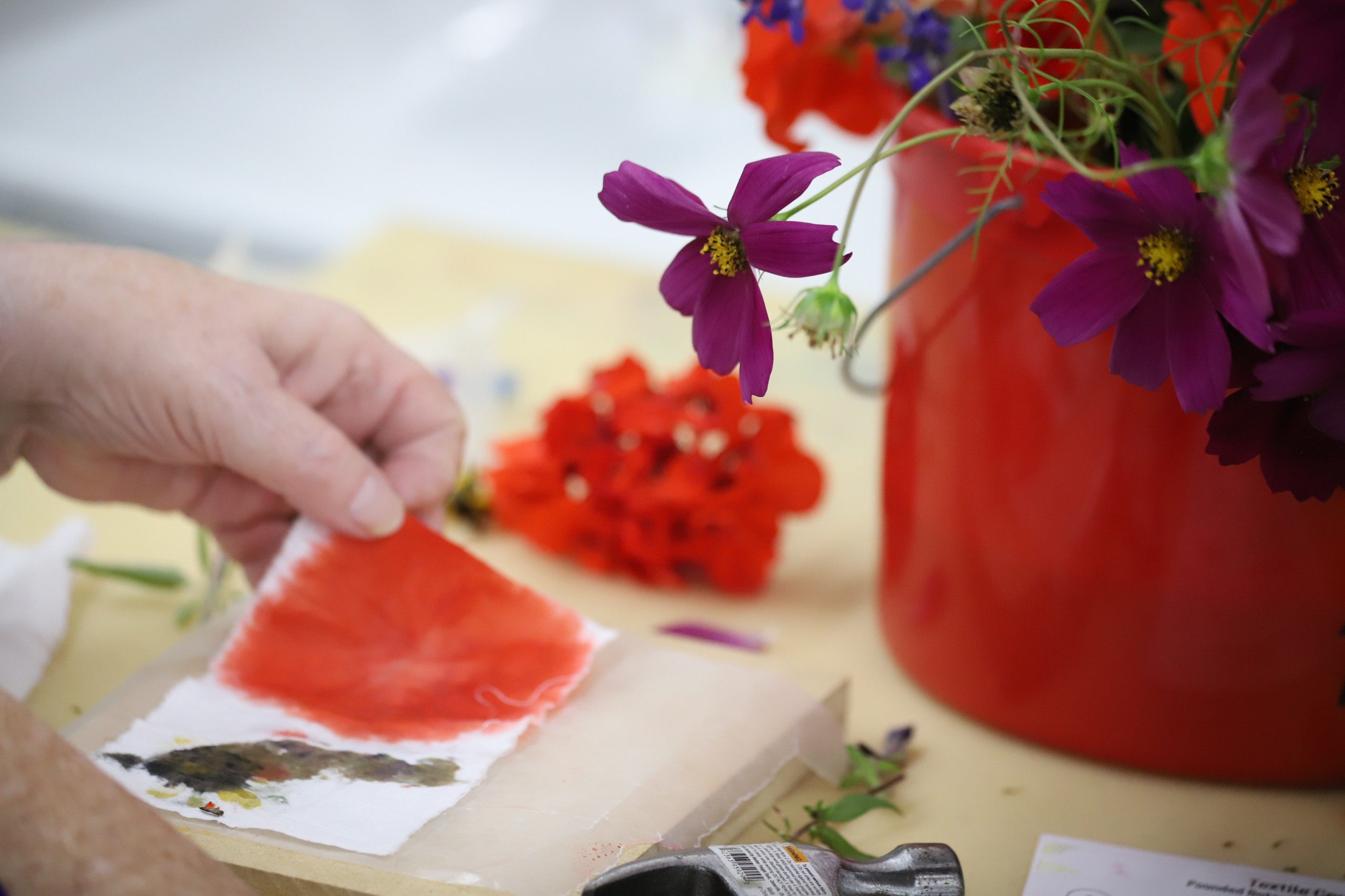 Craft Night: Dye Garden Harvest - Image 5