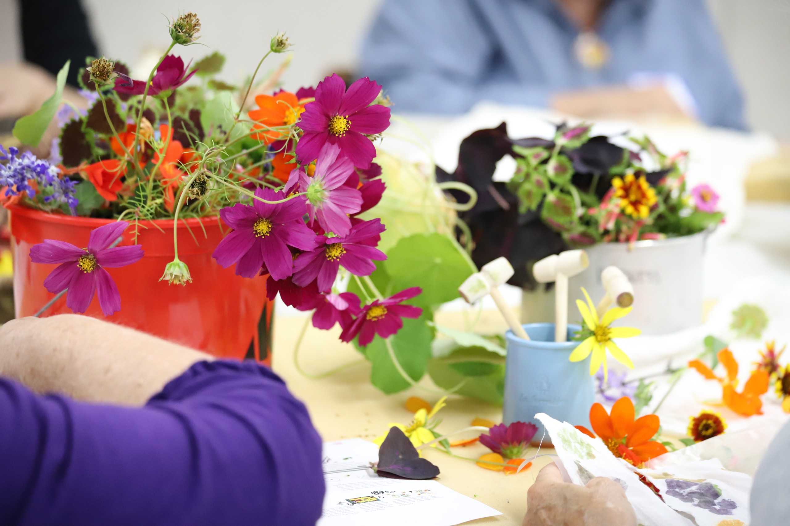 Craft Night: Dye Garden Harvest