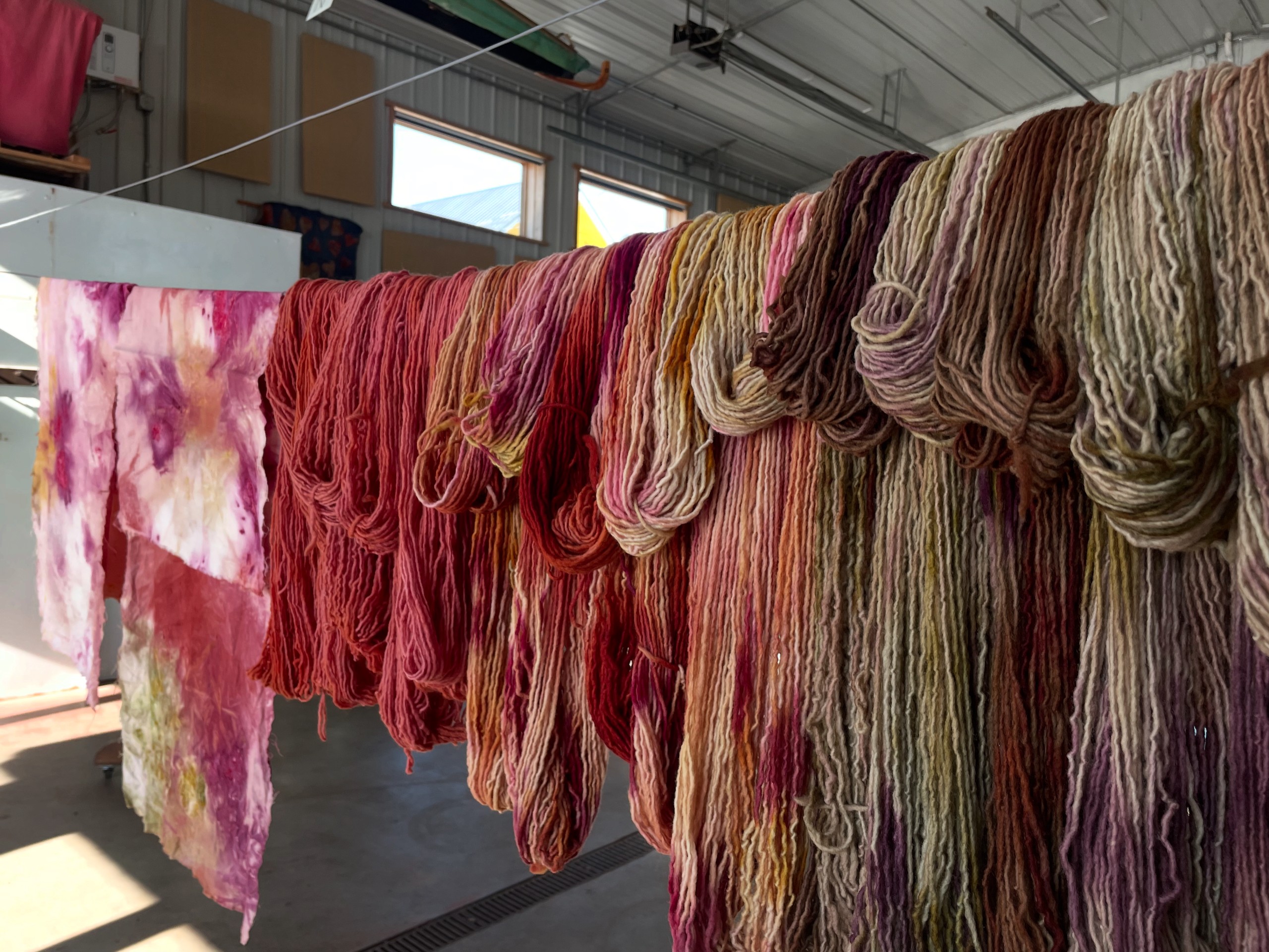 Thinking Through Color: Natural Dyes on Wool • Lesley Darling - Image 5