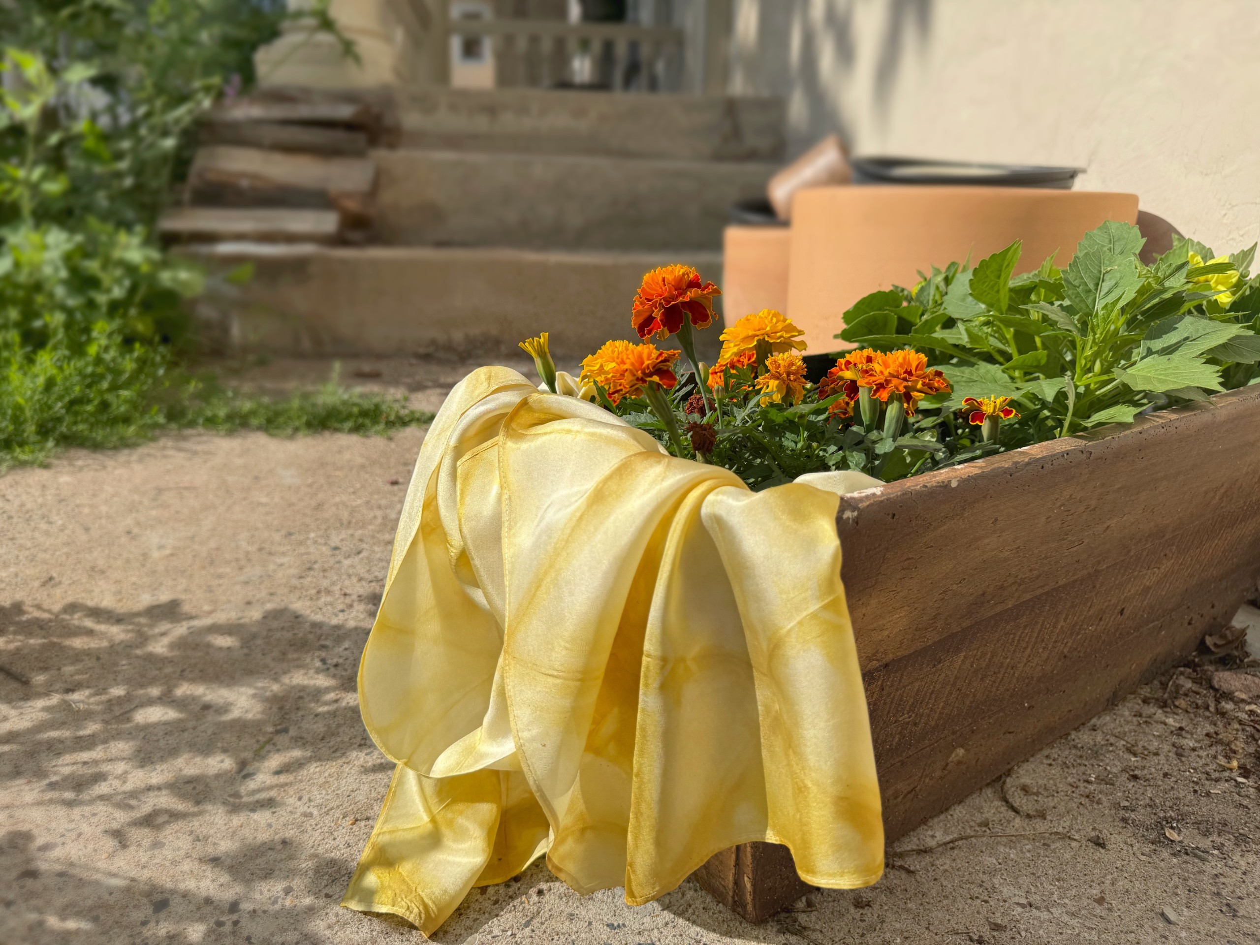 Natural Dyeing with Marigolds - September 2026