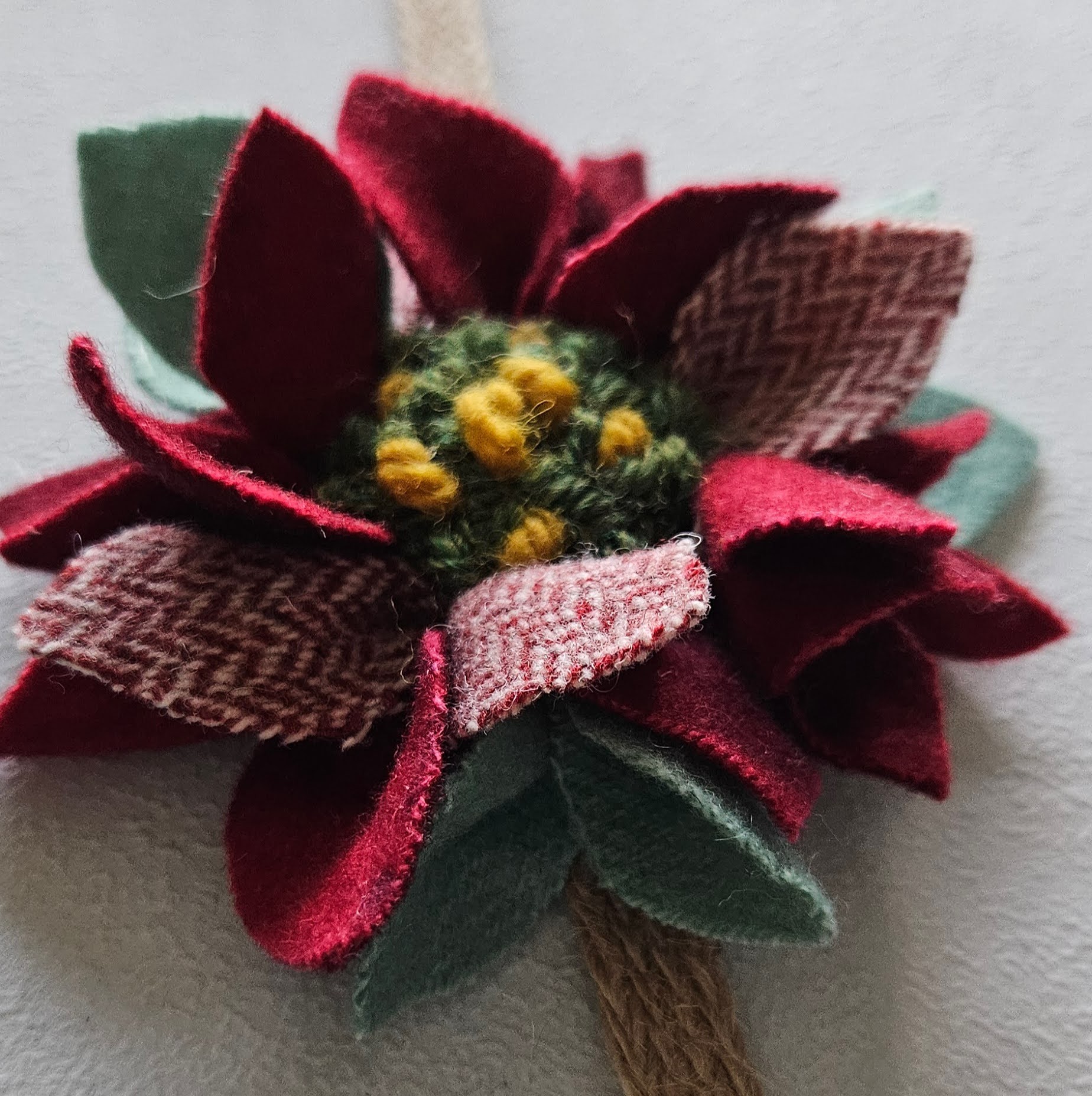 Proddy Flowers: Pointsettias - December 2026